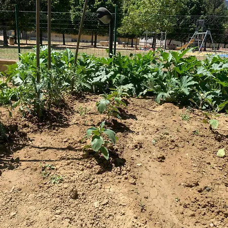 Guesthost - Casa Del Giardino With Shared Patio Apartamento *